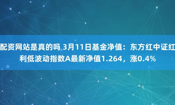 配资网站是真的吗 3月11日基金净值：东方红中证红利低波动指数A最新净值1.264，涨0.4%