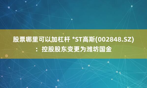 股票哪里可以加杠杆 *ST高斯(002848.SZ)：控股股东变更为潍坊国金
