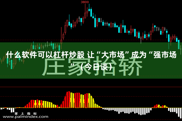 什么软件可以杠杆炒股 让“大市场”成为“强市场”（今日谈）