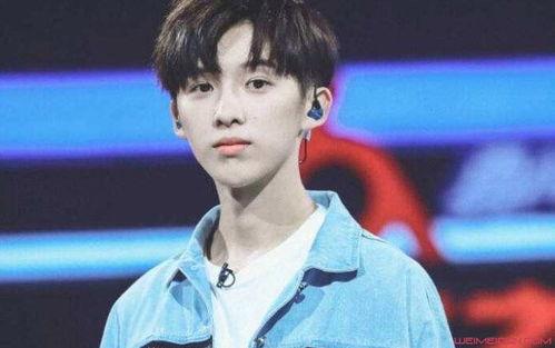 林芯蕾个人资料年龄,青春绽放，岁月如歌的璀璨星途