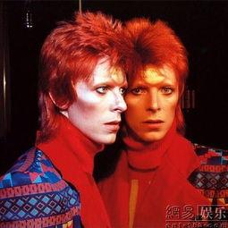 大卫娱乐是什么,揭秘娱乐产业的璀璨明珠