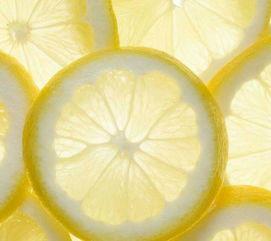 柠檬图片唯美,光影交织下的清新画卷