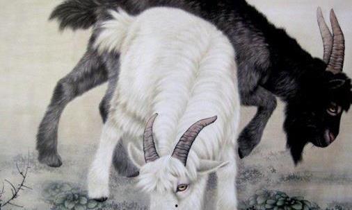 人日羊图片,探寻传统民俗中的和谐寓意